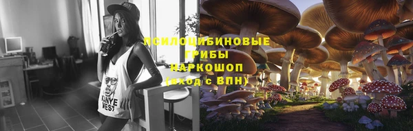 хмурый Армянск