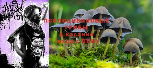 хмурый Армянск