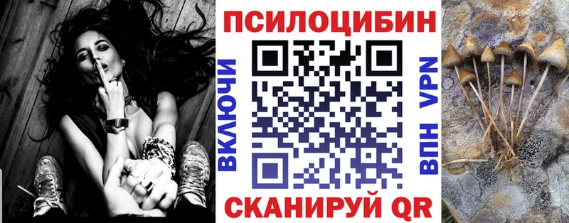 продажа наркотиков Урень нарко площадка состав Псилоцибиновые грибы Cubensis